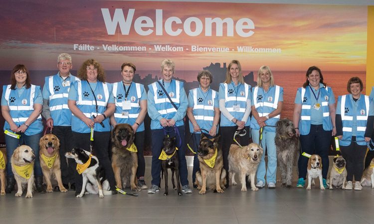 Flying high With Therapet “The Canine Crew”